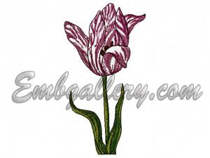 R160_2 (image)_2.jpg